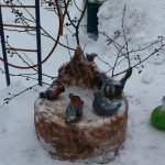 img_6817