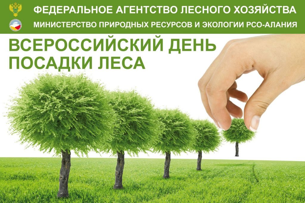 ministerstvo-prirodnyh-resursov-i-ekologii-3