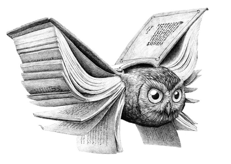 kniga-sova